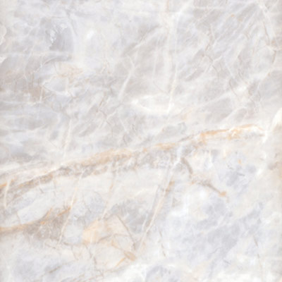 グレーポラリス