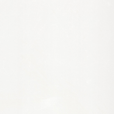 グロスホワイト