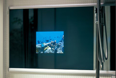 ミラービジョン　(ワイドミラー内蔵型テレビ）