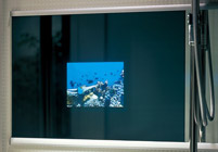 ミラービジョン　(ワイドミラー内蔵型テレビ）